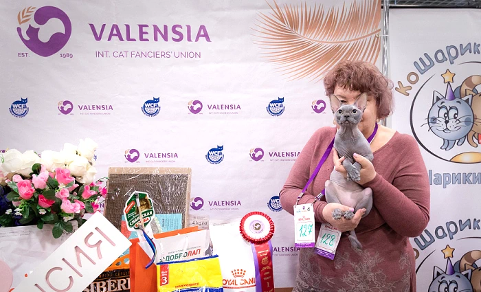 Международная выставка кошек «Кубок Валенсии»