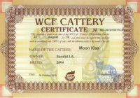 WCF Cattery Certificate