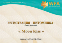 Registration of the cattery «Moon Kiss»