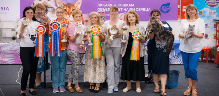 Национальная выставка кошек «Кубок России»