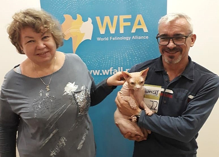 Международная выставка кошек WFA