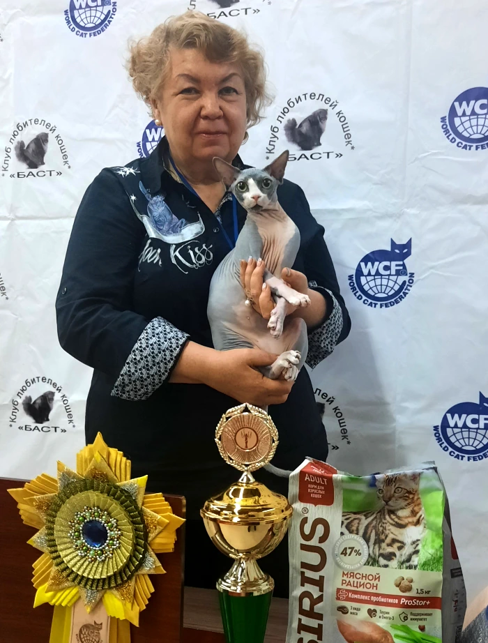 Cat Show «Black Earth Region Cup 2022»