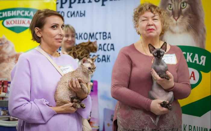 Международный фестиваль кошек «Александровская слобода «Царские смотрины»
